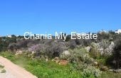 Plot for sale in Kampia Apokoronas 