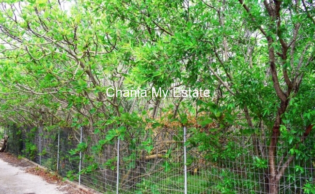 Plot for sale in Akrotiri, Chania