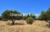 Plot for sale in Apokoronas, Chania