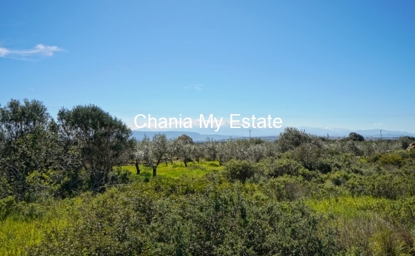 Plot for sale in Akrotiri, Chania 