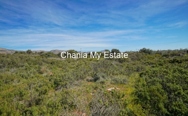 Plot for sale in Akrotiri, Chania 