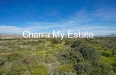 Plot for sale in Akrotiri, Chania 