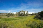 Plot for sale in Akrotiri, Chania 