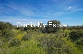 Plot for sale in Akrotiri, Chania 