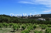 PLPOL00046, Plot for sale in Platanias Chania Crete