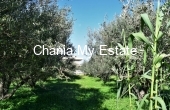 Plot for sale in Platanias, Chania, Crete