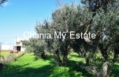 Plot for sale in Platanias, Chania, Crete