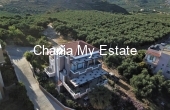 Luxurious house aerial view