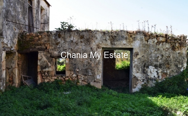 Traditional House Garden