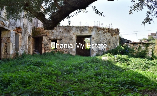 Traditional House Garden